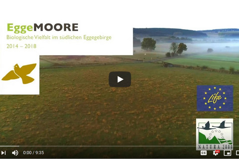 youTube-Video - Die Eggemoore